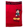 Bóxer DISNEY Mickey Mouse Edición Navidad Buzón