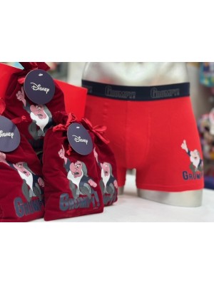 Bóxer Ritter Disney Gruñón Saquito 2