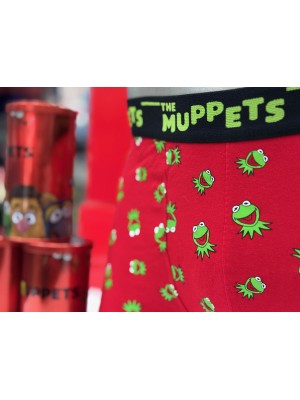 Boxer DISNEY mit Lata Rana Gustavo Rojo 2