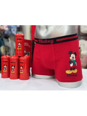 Bóxer DISNEY Mickey Mouse Edición Navidad Buzón