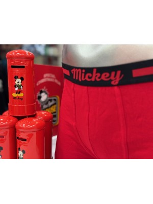 Bóxer DISNEY Mickey Mouse Christmas Buzón 2