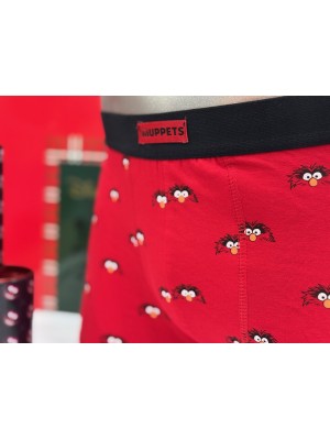 Bóxer Ritter DISNEY Tier Bang Weihnachten Edition 2