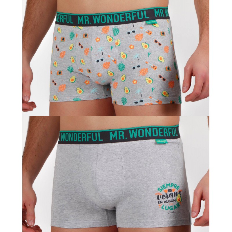 Pack 2 Bóxer Knight Mr Wonderful "C'est toujours Summer" Gris